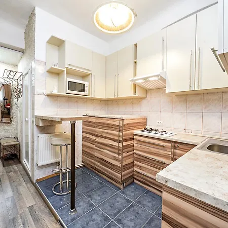 Apartment In A City Center! Krakivska,34 إلفيف المظهر الخارجي الصورة